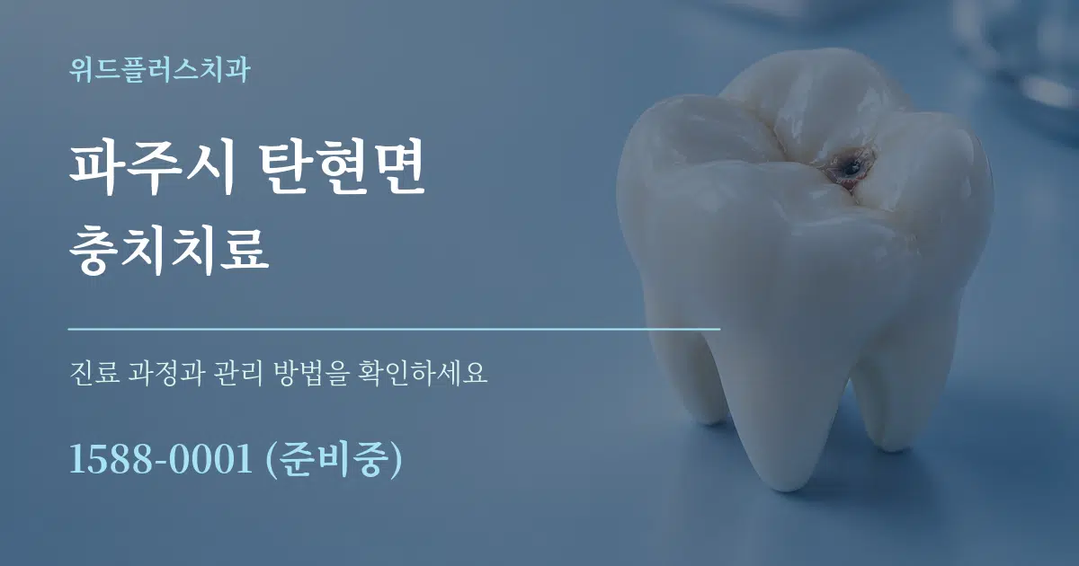 파주시 탄현면 충치치료 서비스 이용 안내 그래픽