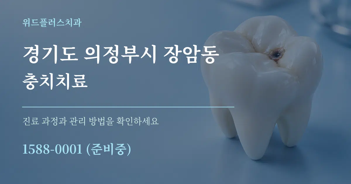 경기도 의정부시 장암동 충치치료 서비스 이용 안내 그래픽