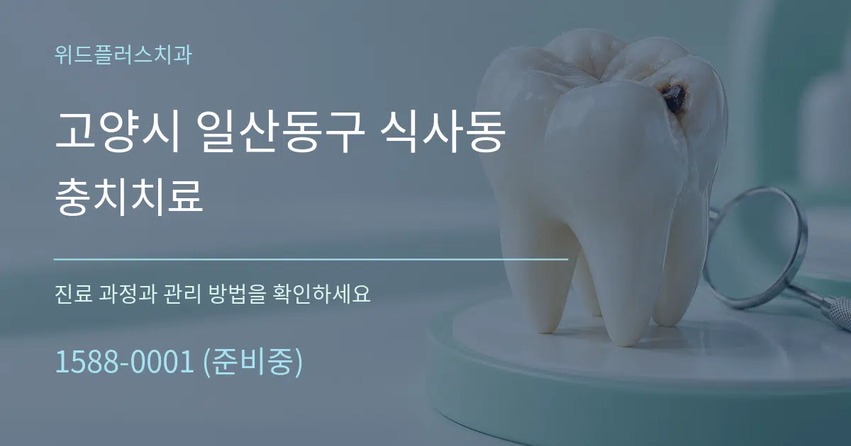 고양시 일산동구 식사동 충치치료 서비스 이용 안내 그래픽