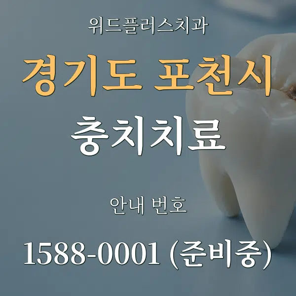 경기도 포천시 충치치료 대표 안내 그래픽