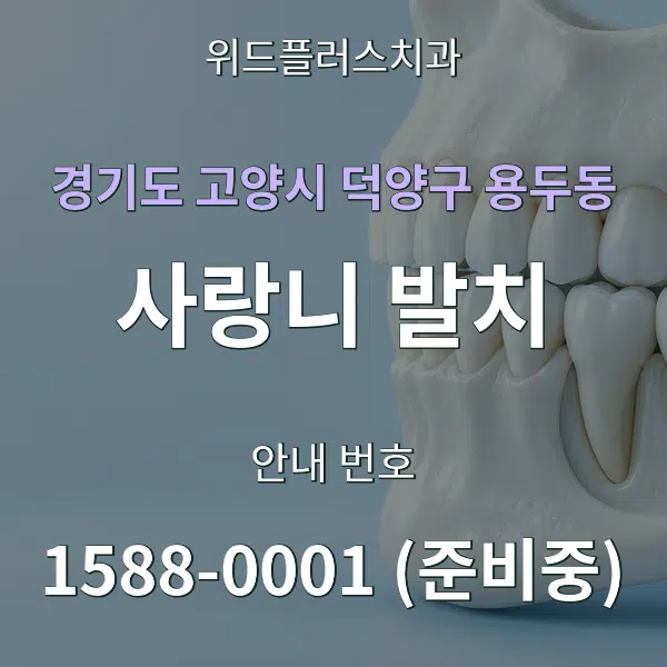 경기도 고양시 덕양구 용두동 사랑니 발치 대표 안내 그래픽
