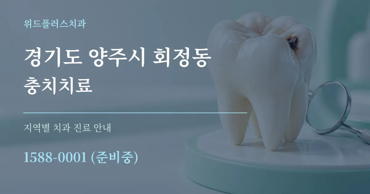 경기도 양주시 회정동 충치치료 대표 안내 그래픽