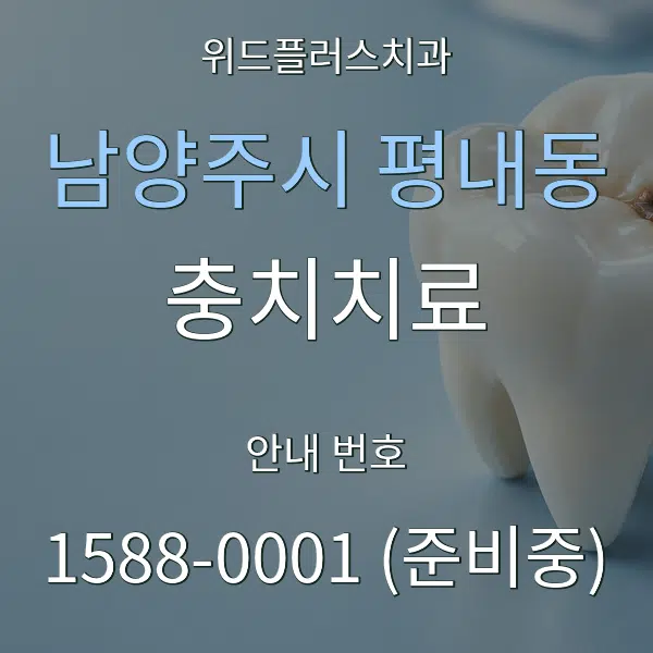 남양주시 평내동 충치치료 대표 안내 그래픽