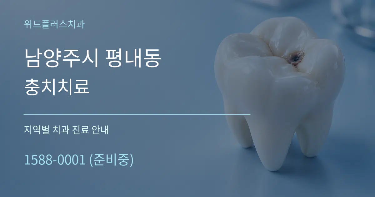 남양주시 평내동 충치치료 대표 안내 그래픽