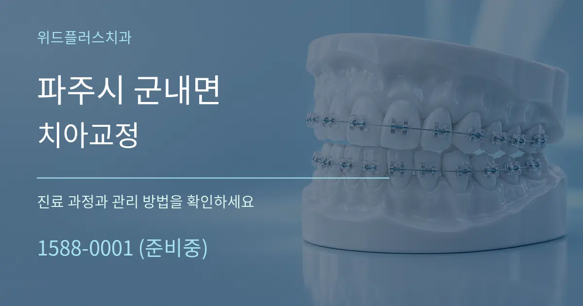 파주시 군내면 치아교정 서비스 이용 안내 그래픽