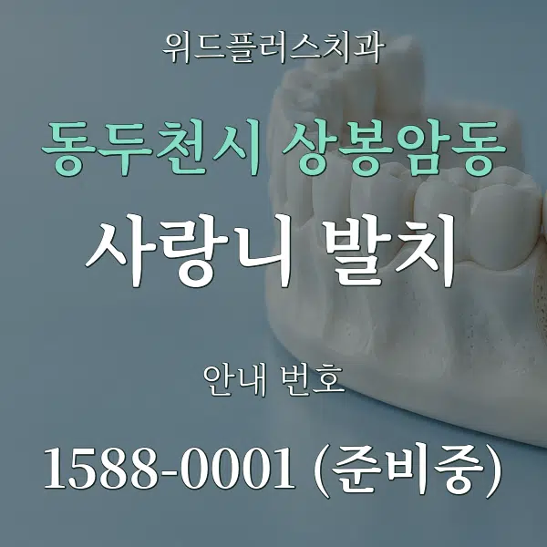 동두천시 상봉암동 사랑니 발치 대표 안내 그래픽