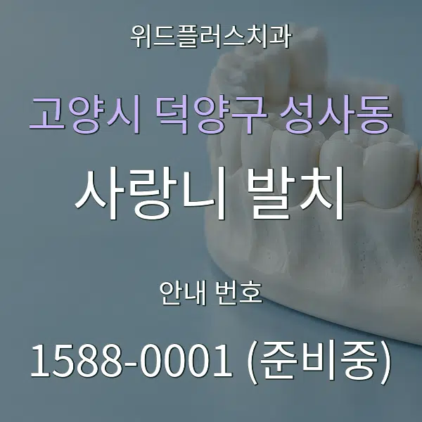 고양시 덕양구 성사동 사랑니 발치 대표 안내 그래픽