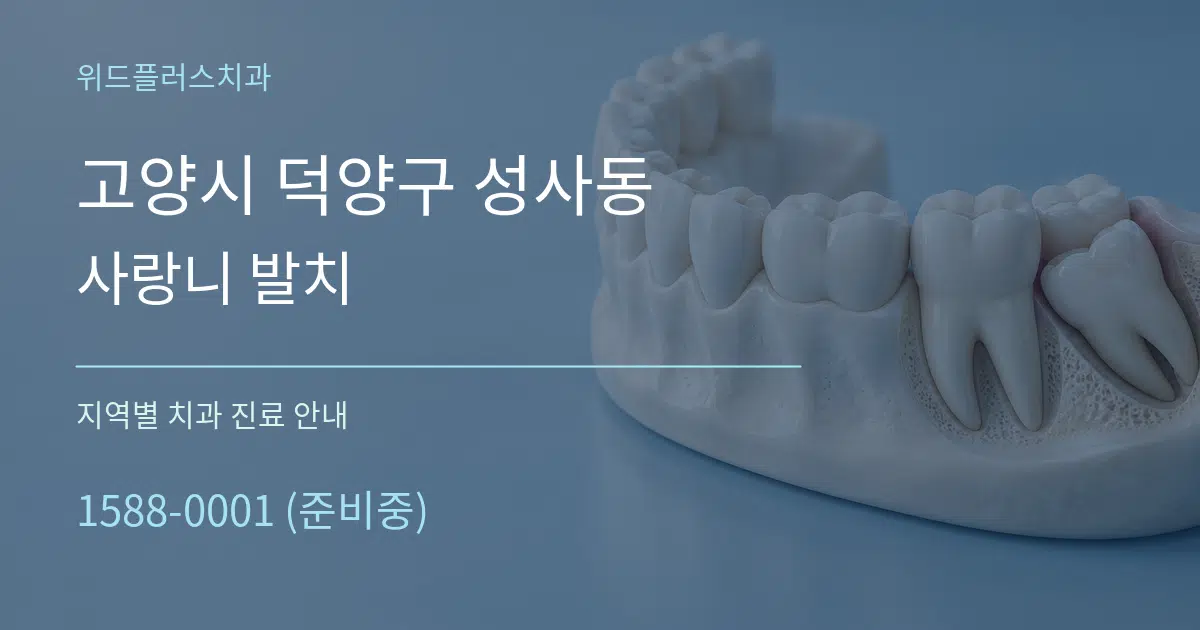 고양시 덕양구 성사동 사랑니 발치 대표 안내 그래픽