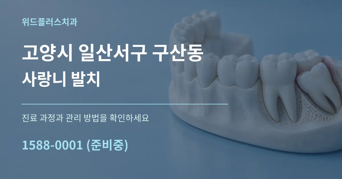고양시 일산서구 구산동 사랑니 발치 서비스 이용 안내 그래픽