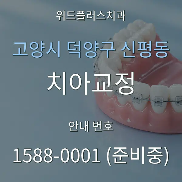 고양시 덕양구 신평동 치아교정 대표 안내 그래픽