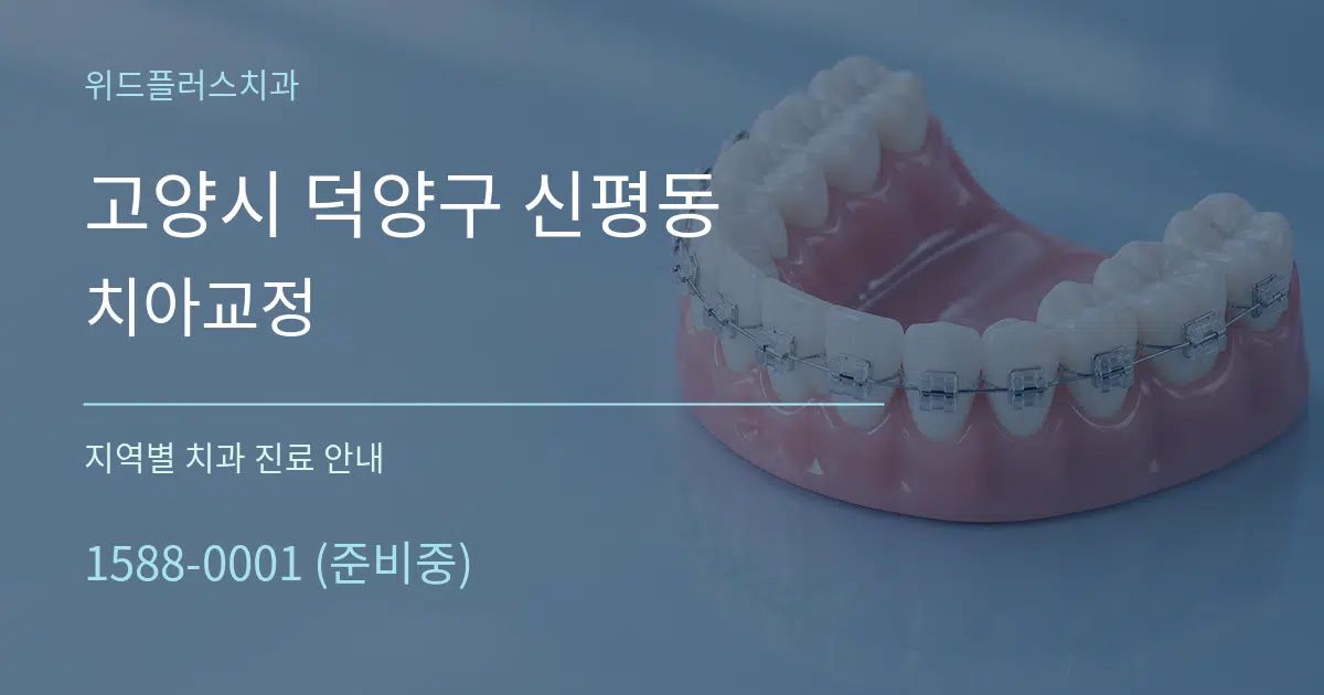 고양시 덕양구 신평동 치아교정 대표 안내 그래픽