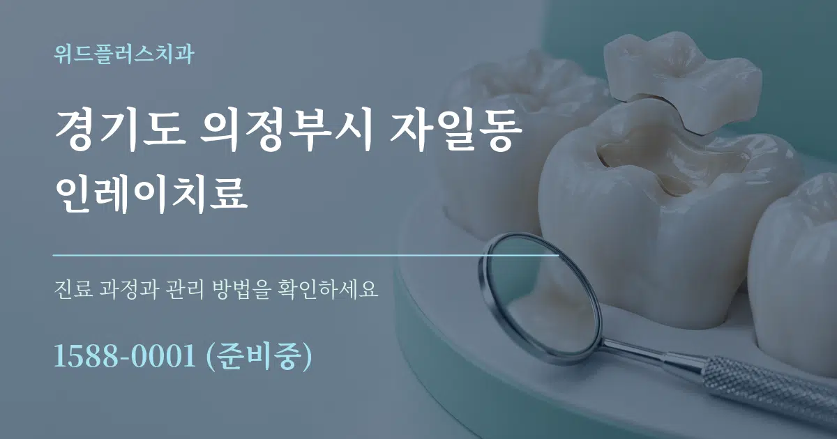 경기도 의정부시 자일동 인레이치료 서비스 이용 안내 그래픽