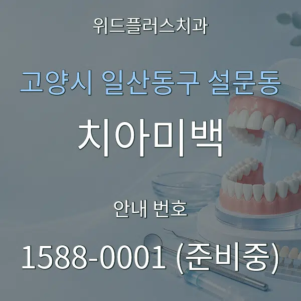 고양시 일산동구 설문동 치아미백 대표 안내 그래픽