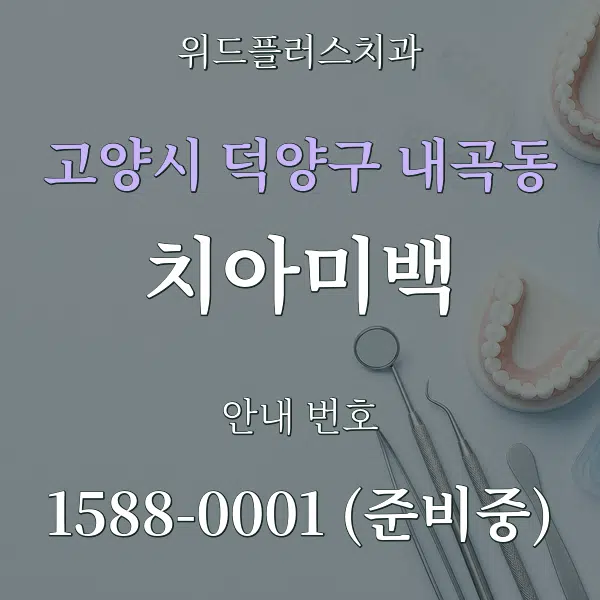 고양시 덕양구 내곡동 치아미백 대표 안내 그래픽