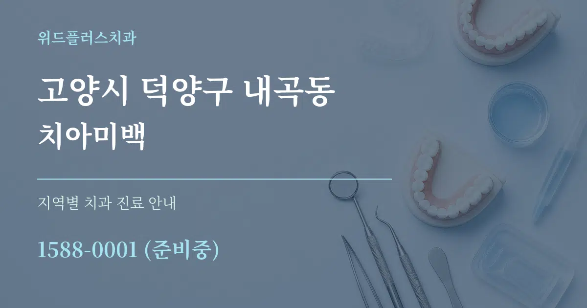 고양시 덕양구 내곡동 치아미백 대표 안내 그래픽