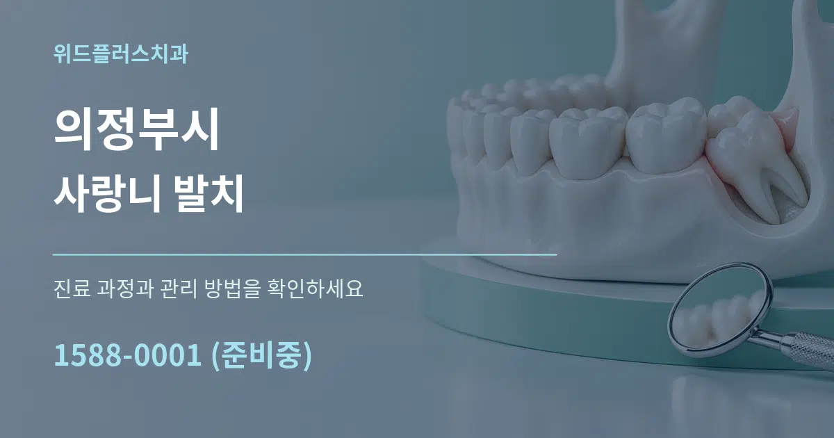 의정부시 사랑니 발치 서비스 이용 안내 그래픽