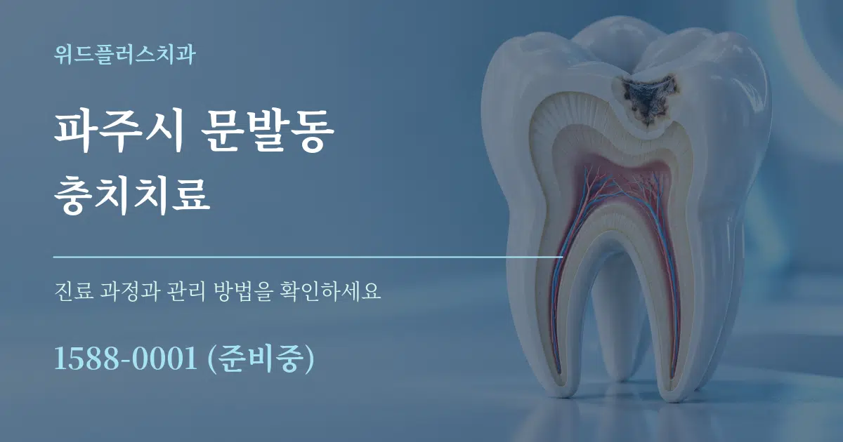 파주시 문발동 충치치료 서비스 이용 안내 그래픽