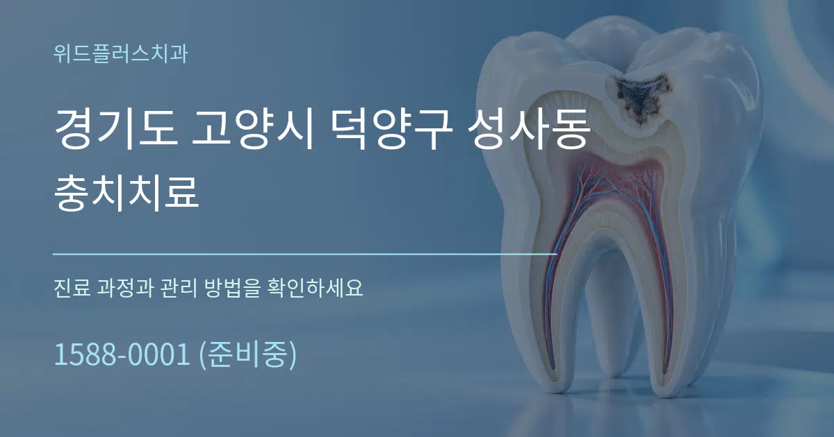 경기도 고양시 덕양구 성사동 충치치료 작업 조건 안내 그래픽