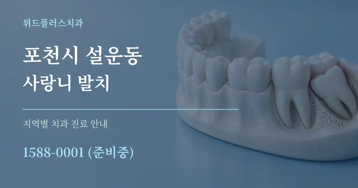 포천시 설운동 사랑니 발치 대표 안내 그래픽