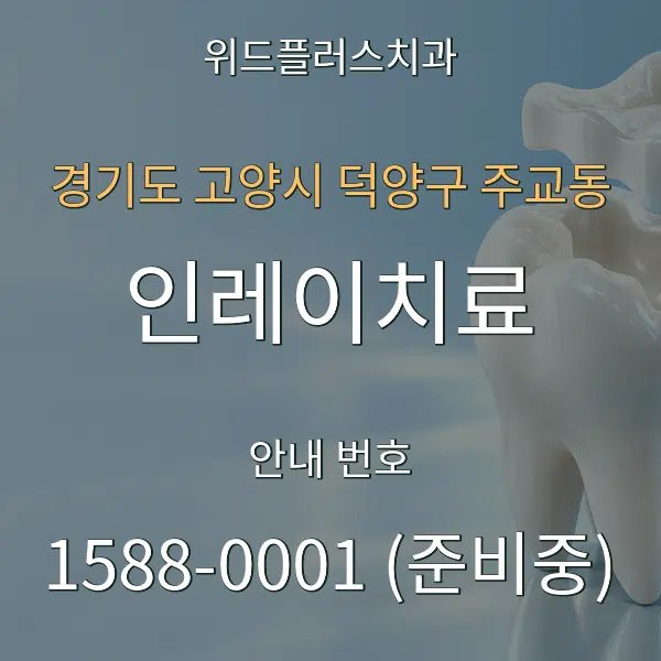 경기도 고양시 덕양구 주교동 인레이치료 대표 안내 그래픽