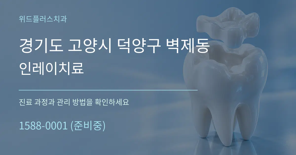경기도 고양시 덕양구 벽제동 인레이치료 서비스 이용 안내 그래픽