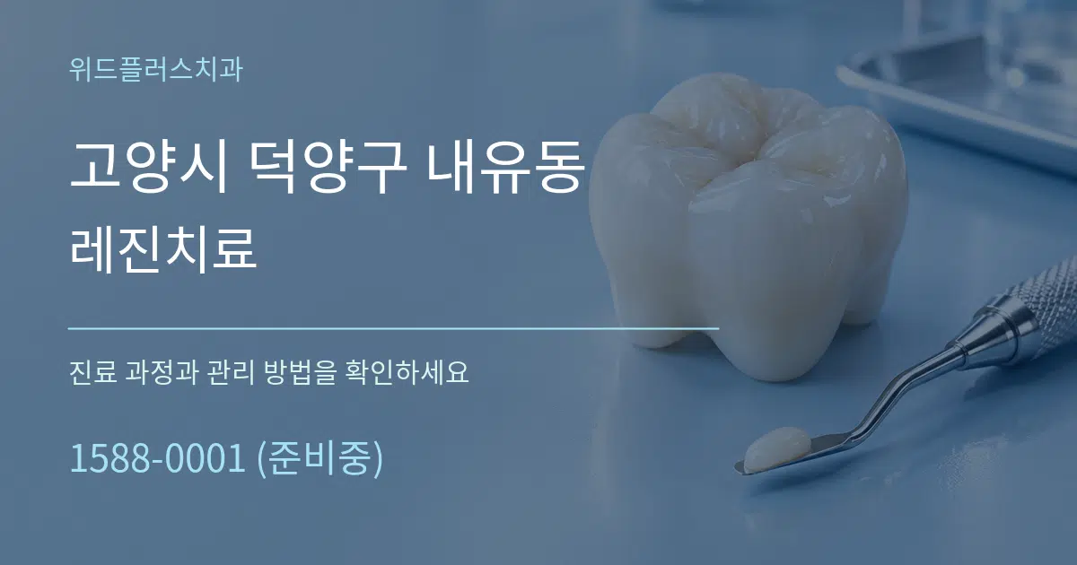 고양시 덕양구 내유동 레진치료 서비스 이용 안내 그래픽