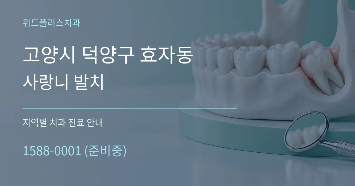 고양시 덕양구 효자동 사랑니 발치 대표 안내 그래픽