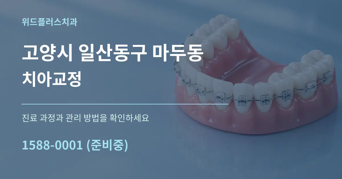 고양시 일산동구 마두동 치아교정 서비스 이용 안내 그래픽