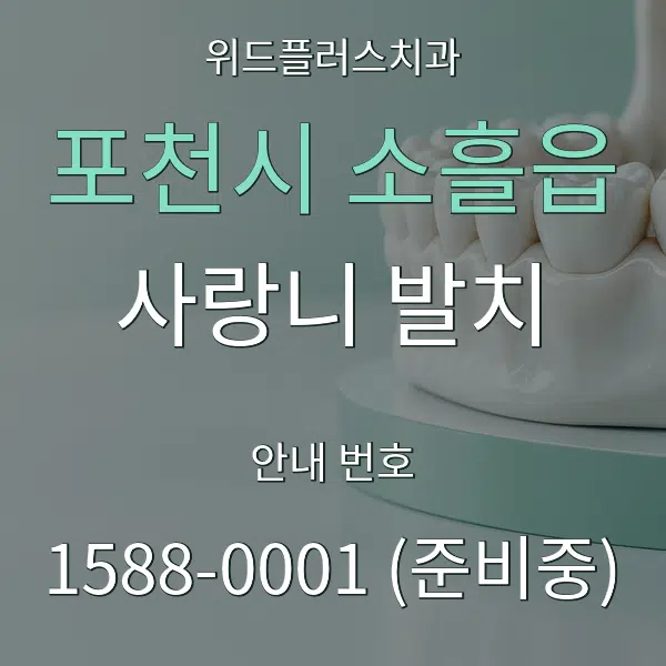 포천시 소흘읍 사랑니 발치 대표 안내 그래픽