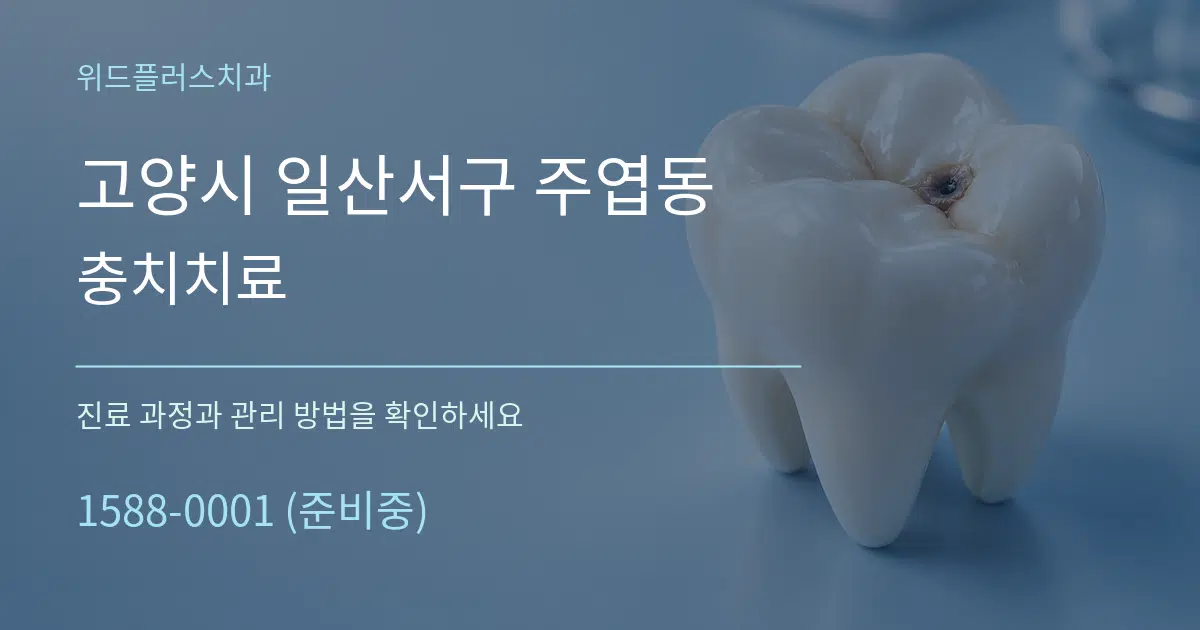 고양시 일산서구 주엽동 충치치료 작업 조건 안내 그래픽