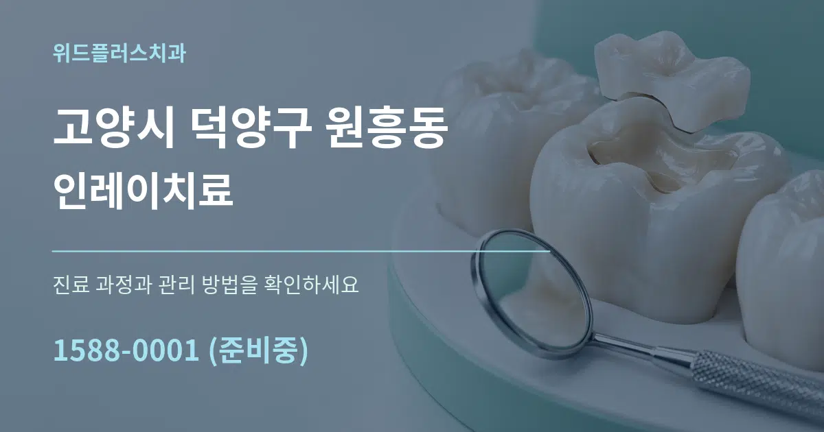 고양시 덕양구 원흥동 인레이치료 작업 조건 안내 그래픽