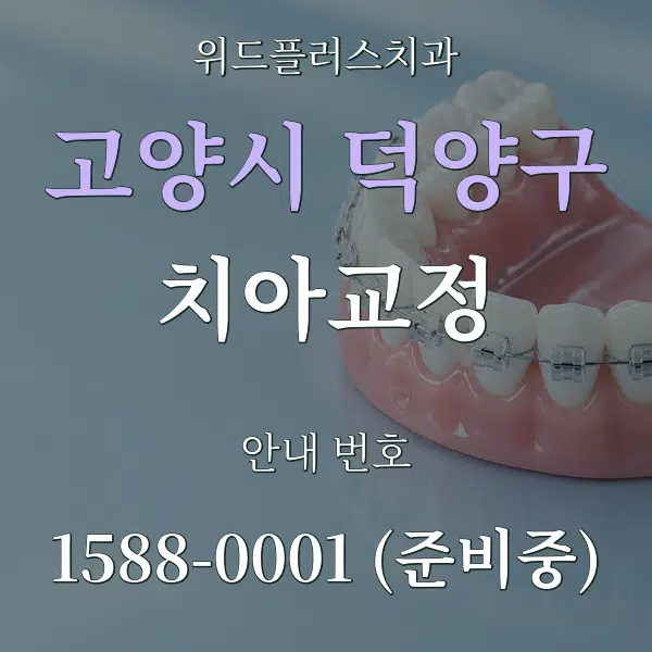 고양시 덕양구 치아교정 대표 안내 그래픽