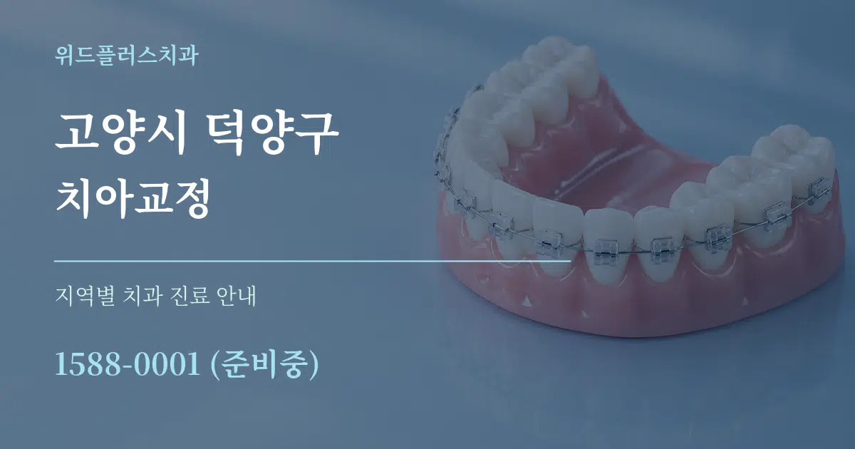 고양시 덕양구 치아교정 대표 안내 그래픽