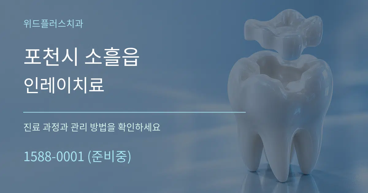 포천시 소흘읍 인레이치료 서비스 이용 안내 그래픽