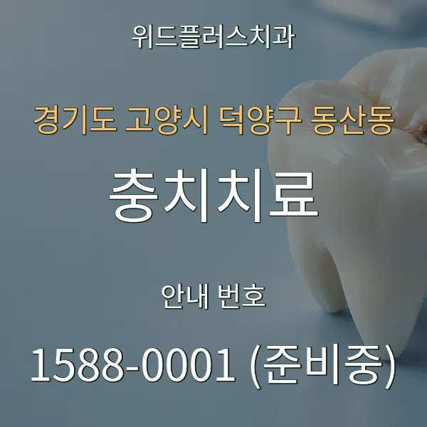 경기도 고양시 덕양구 동산동 충치치료 대표 안내 그래픽