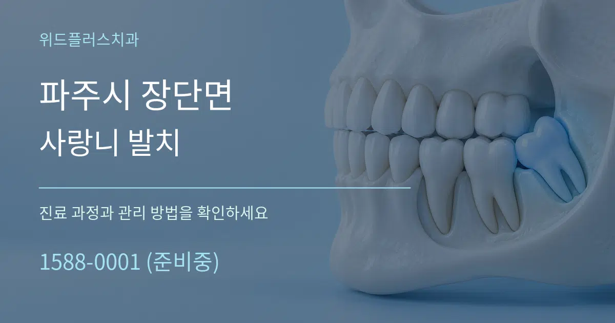 파주시 장단면 사랑니 발치 작업 조건 안내 그래픽