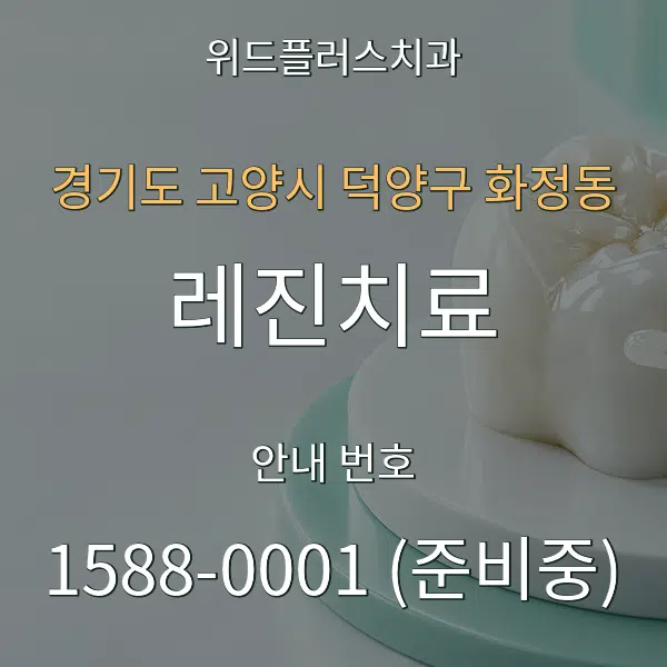 경기도 고양시 덕양구 화정동 레진치료 대표 안내 그래픽