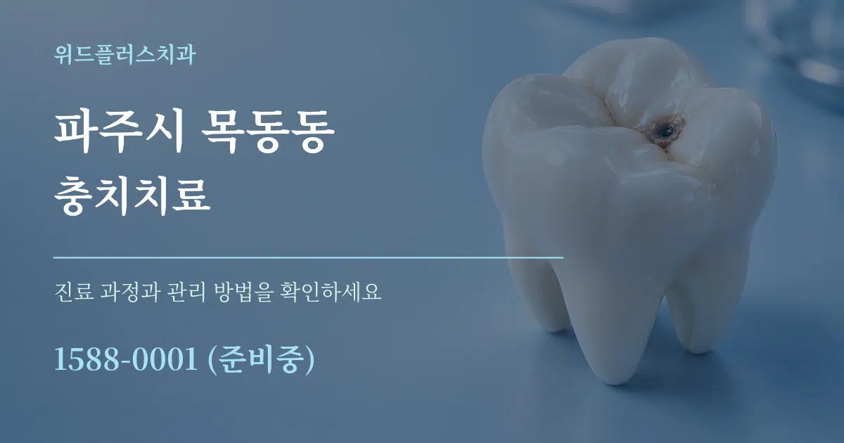 파주시 목동동 충치치료 서비스 이용 안내 그래픽