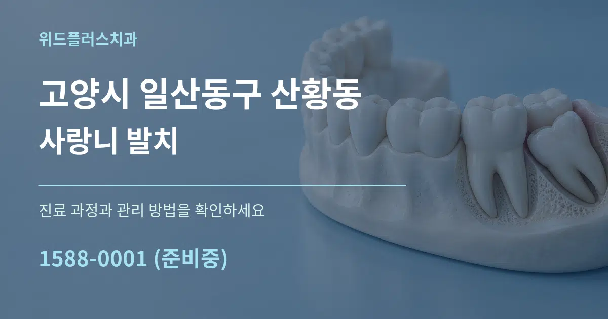 고양시 일산동구 산황동 사랑니 발치 서비스 이용 안내 그래픽
