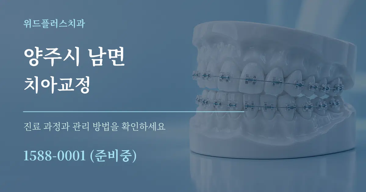 양주시 남면 치아교정 서비스 이용 안내 그래픽