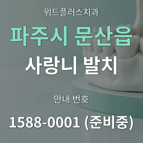 파주시 문산읍 사랑니 발치 대표 안내 그래픽