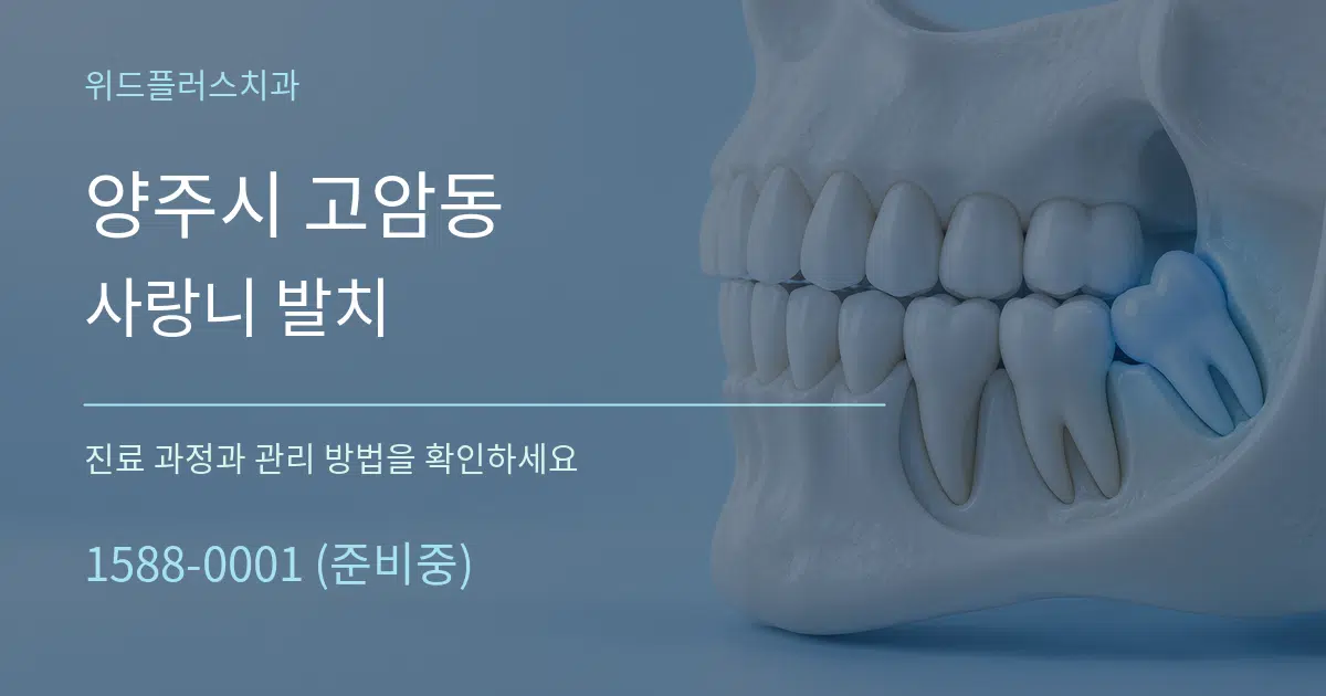 양주시 고암동 사랑니 발치 작업 조건 안내 그래픽