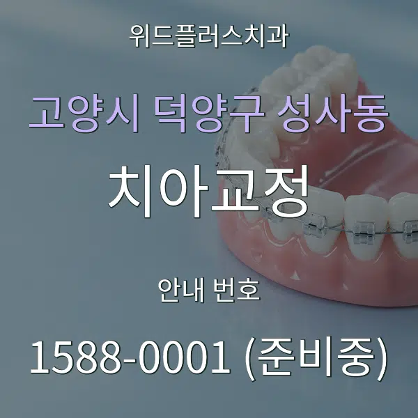 고양시 덕양구 성사동 치아교정 대표 안내 그래픽