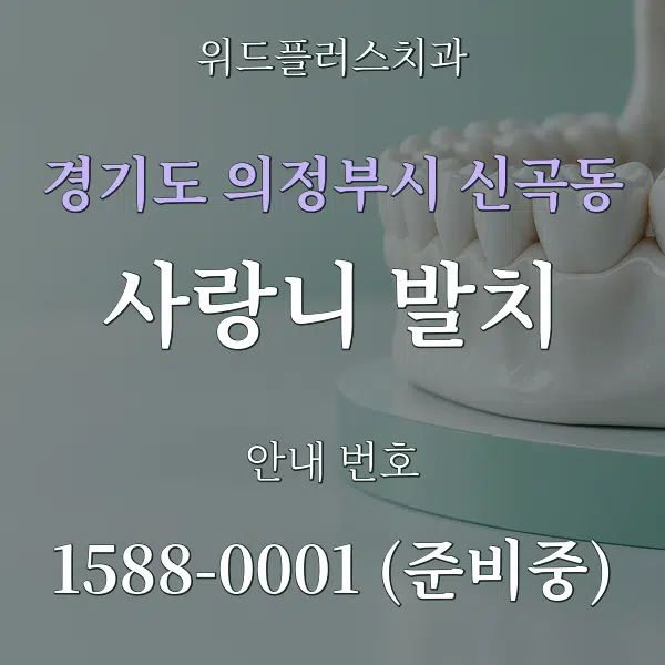 경기도 의정부시 신곡동 사랑니 발치 대표 안내 그래픽