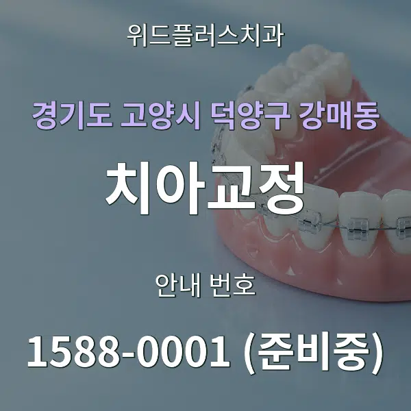 경기도 고양시 덕양구 강매동 치아교정 대표 안내 그래픽