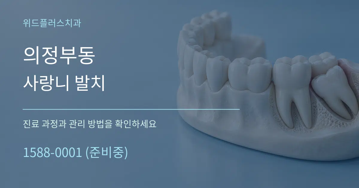의정부동 사랑니 발치 작업 조건 안내 그래픽