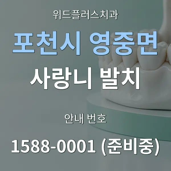 포천시 영중면 사랑니 발치 대표 안내 그래픽