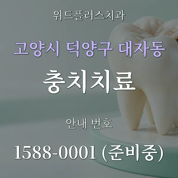 고양시 덕양구 대자동 충치치료 대표 안내 그래픽