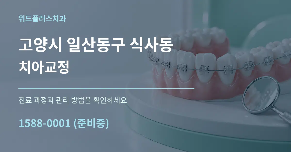 고양시 일산동구 식사동 치아교정 서비스 이용 안내 그래픽