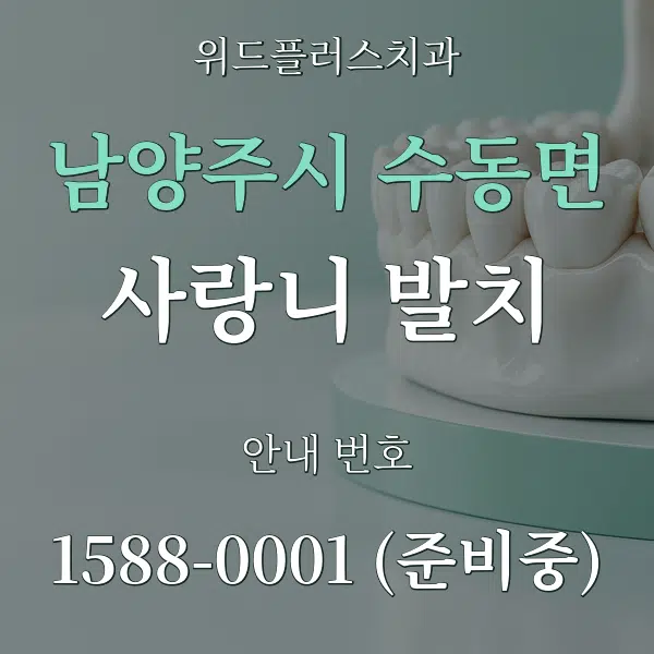 남양주시 수동면 사랑니 발치 대표 안내 그래픽